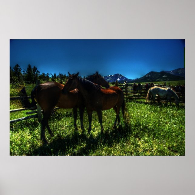 Willy und Charger Poster (Vorne)