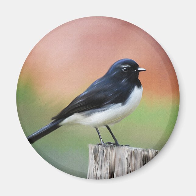 Willy Wagtail - Australian Bird Art Magnet (Vorne)