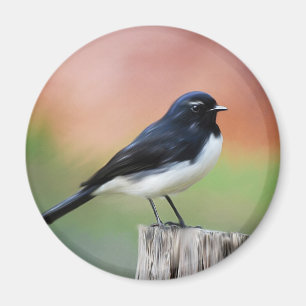 WillyWagtail - australische Vogel-Kunst Magnet