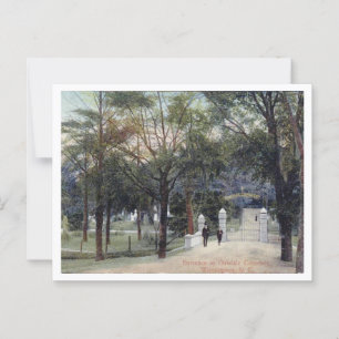 Wilmington NC Oakdale Cemetery, 1910er Jahre Postkarte