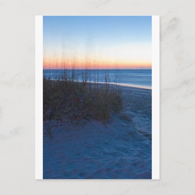 Wilmington NC Postkarte (Vorderseite)