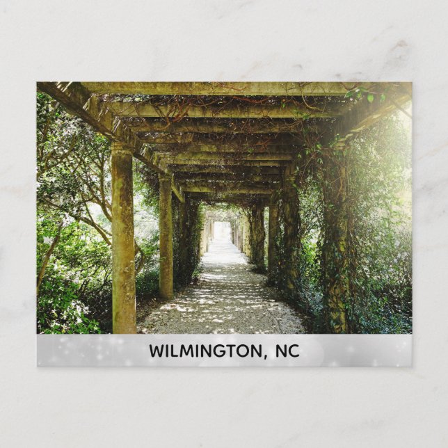Wilmington North Carolina Airlie Gardens Travel Postkarte (Vorderseite)