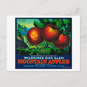 Wilshire's Oak Glen Apple Crate Label Postkarte