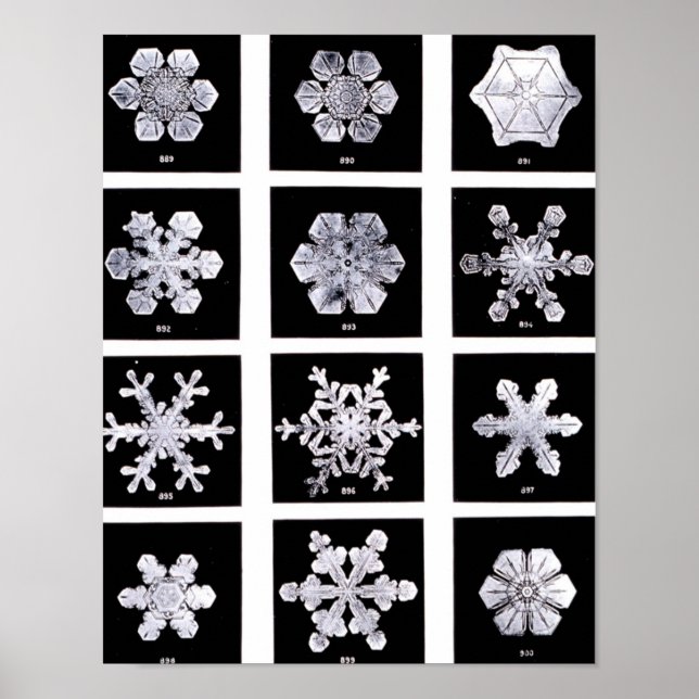 Wilson Bentley Snowflakes Poster (Vorne)