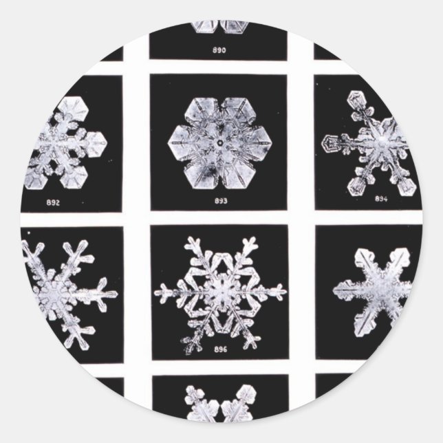 Wilson Bentley Snowflakes Runder Aufkleber (Vorderseite)