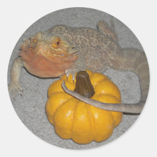 Wilson der Bartagame Runder Aufkleber