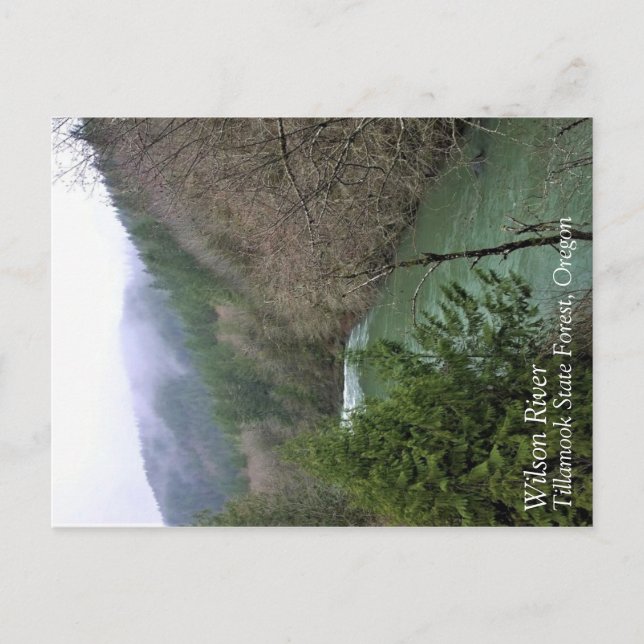 Wilson River Postkarte (Vorderseite)