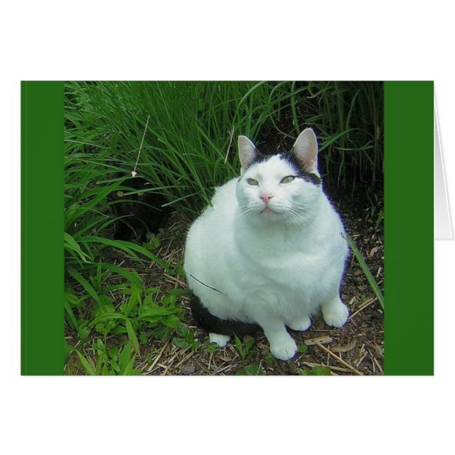 WiLSoN & UFO Sighting (Vorderseite (Horizontal))