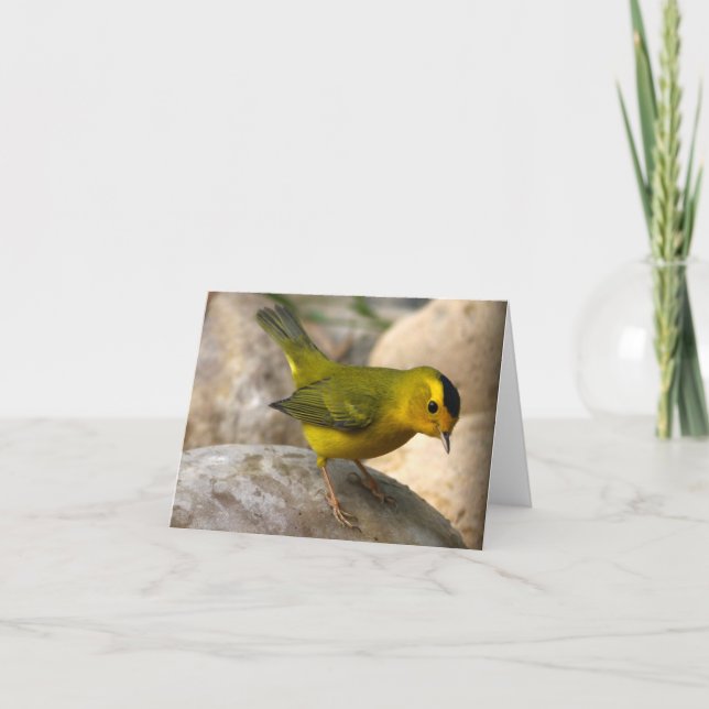 Wilsons Trällerer - Joe Sweeney - Karte (Vorderseite)