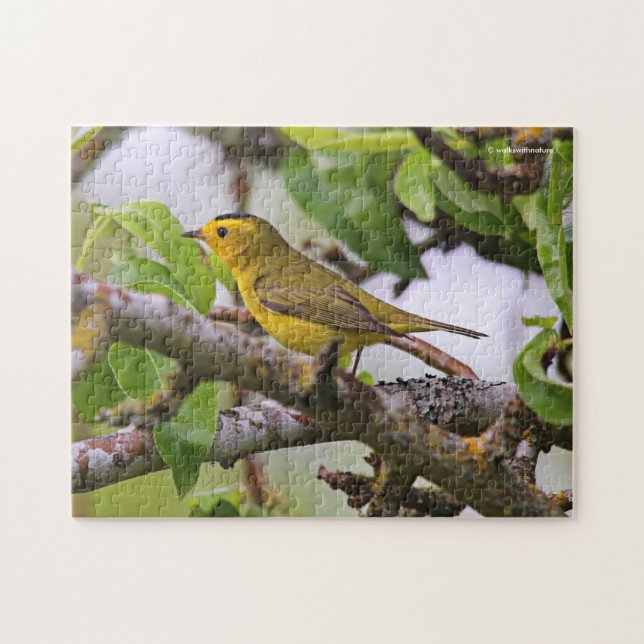 Wilson's Warbler im Birnenbaum Puzzle (Horizontal)