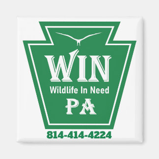 WIN LOGO Kühlschrankmagnet Magnet