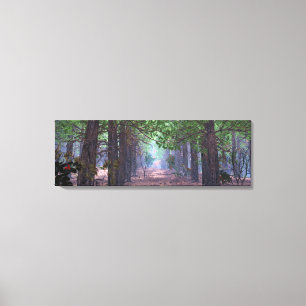 Wind in den Pinien Canvas Print Leinwanddruck