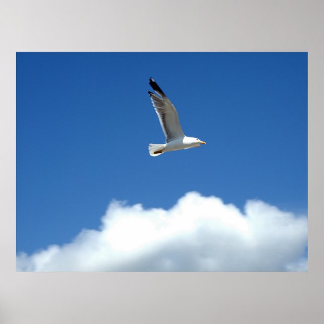 Wind Master Print Poster (Vorne)