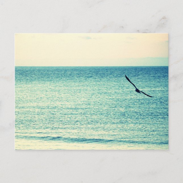 Wind Masters Postcard Postkarte (Vorderseite)