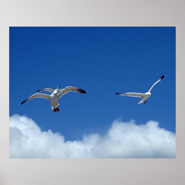 Wind Masters Print Poster (Vorne)