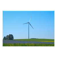 Wind Power Pflanze - Foto
