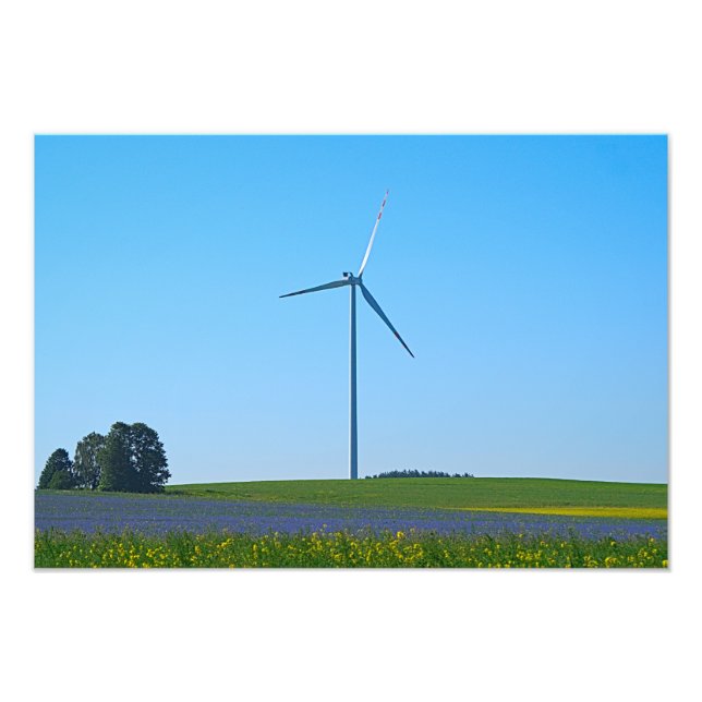 Wind Power Pflanze - Foto (Vorne)