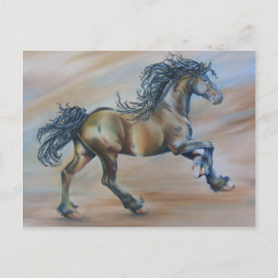 Wind Racer Postkarte