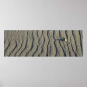 Wind Skulpturen Strand Sand und Stone, in den Düne Poster