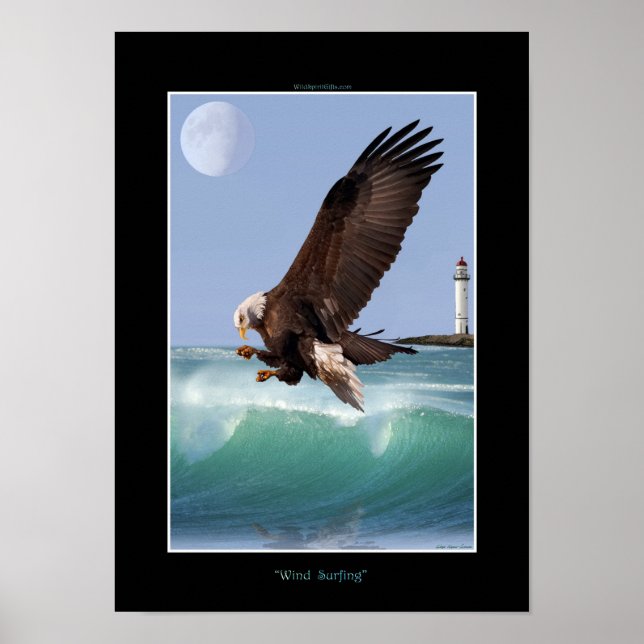 WIND SURFING Bald Eagle Art Poster (Vorne)
