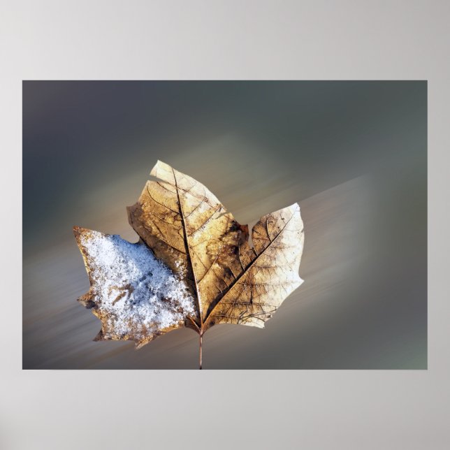 Wind und Schnee Poster (Vorne)