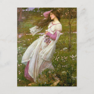 Windblumen Postkarte