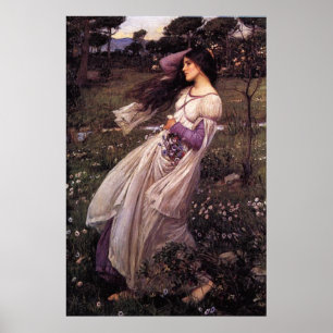 Windblumen-von John William Waterhouse, 1902 Poster