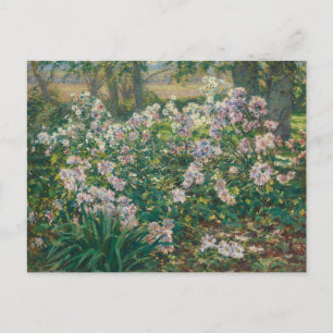Windblumen von Ruger Donoho Malerei Wildblume Postkarte