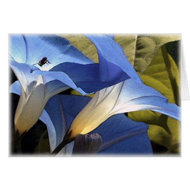 Winden (Vorderseite (Horizontal))