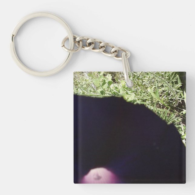 Winden-Blumen-Schlüsselkette Schlüsselanhänger (Vorderseite)