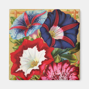 Winden-Magnet Magnet