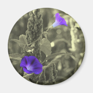 Winden-Schwarz-weißer Blumen-Magnet Magnet