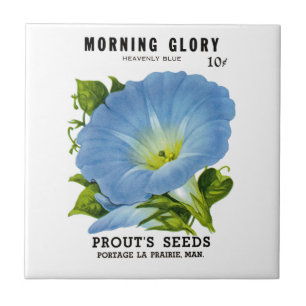 Winden-Vintages Samen-Paket Fliese