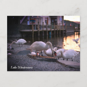 Windermere, Lake District, England Feiertagspostkarte