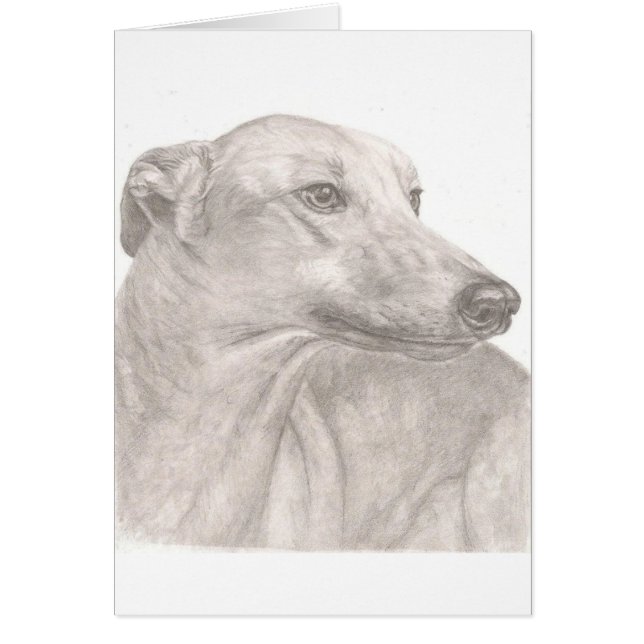Windhund (Vorne)