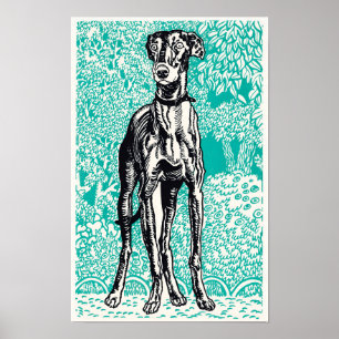 Windhund (1912)  poster