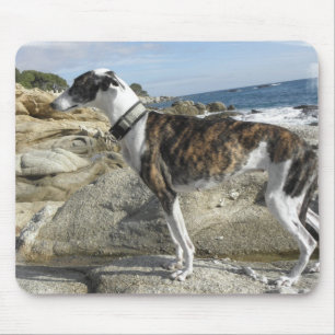 Windhund fotografiert Mausunterlage Mousepad