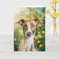 Windhund-Hund Kleine gelbe Blumen Gute Besserung
