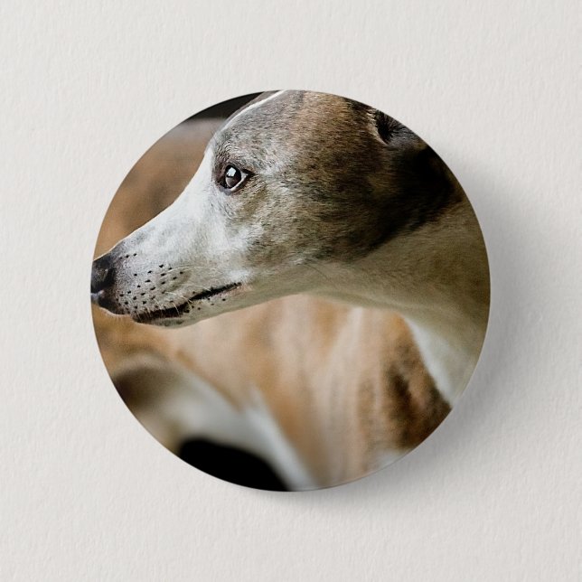 Windhund-Hundeknopf Button (Vorderseite)