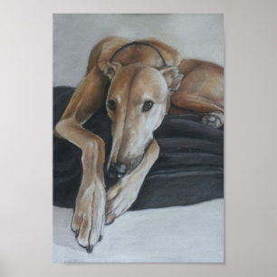 Windhund-Kunst-Druck Poster