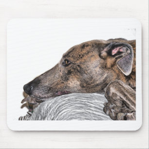 Windhund Mousepad