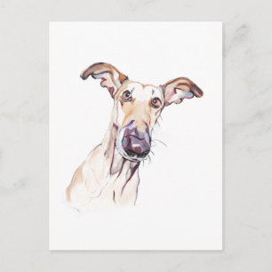 Windhund Postkarte, Hunde Illustration Postkarte