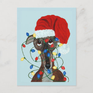 Windhund Santa verheddert in Weihnachtslichtern Postkarte