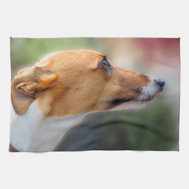Windhund teatowel - hübsches Mädchen P2 Geschirrtuch (Horizontal)