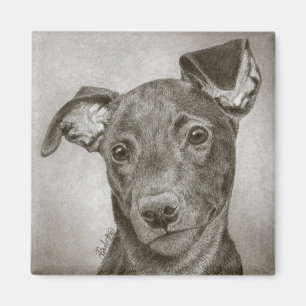 Windhund-Welpen-Magnet - "Waffel " Magnet