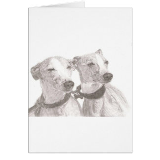 Windhunde