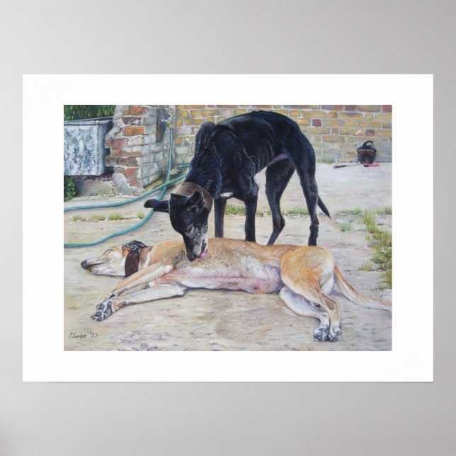 Windhunde-Portrait realistische Tierart-Poster Poster (Vorne)