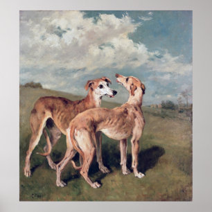 Windhunde Poster