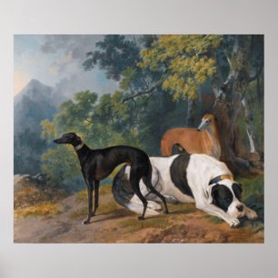 Windhunde und Mastiff von Sawrey Gilpin Poster