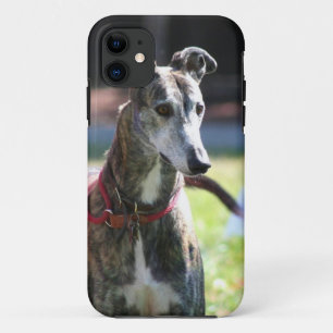 Windhundhund iPhone 11 Hülle